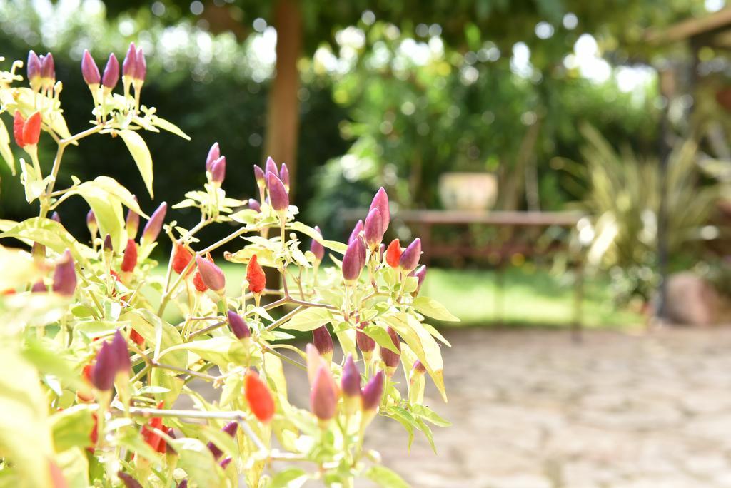 B&B Villa Anastasia Club Mesagne Exteriér fotografie