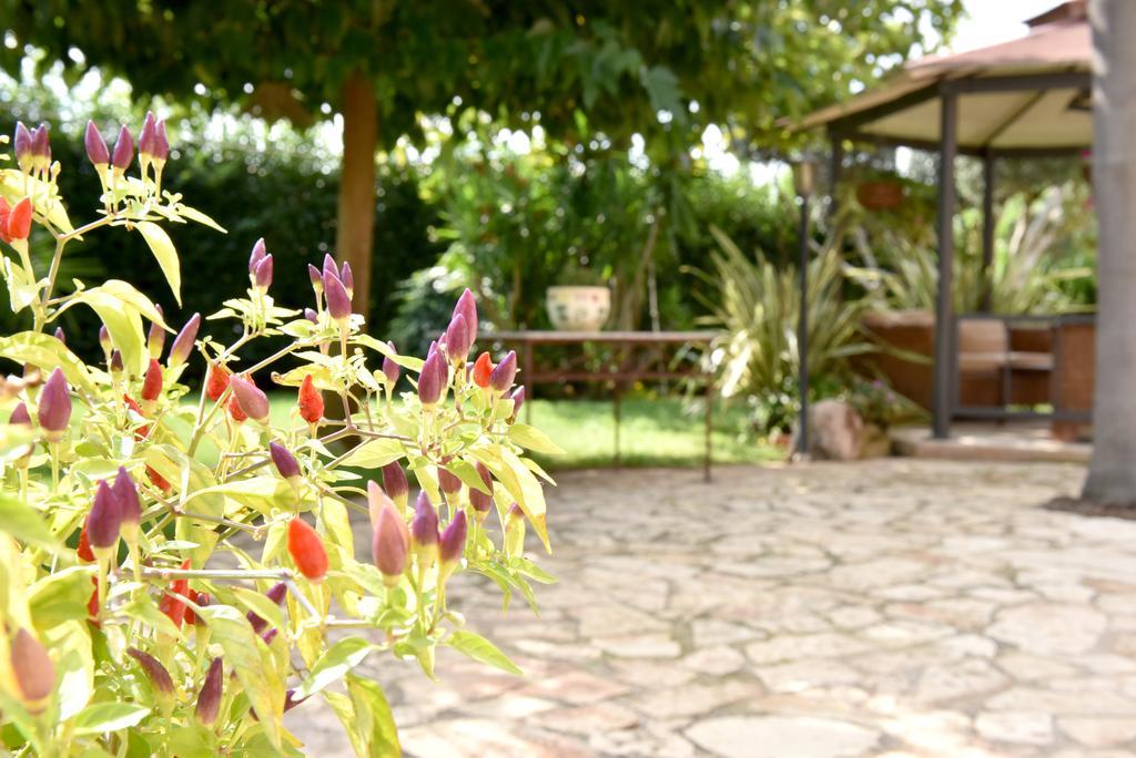 B&B Villa Anastasia Club Mesagne Exteriér fotografie
